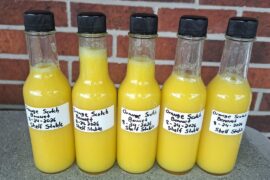First Batch Of Scotch Bonnet Hot Sauce Of The Growing Season!