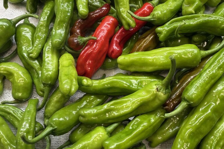 I don’t think my all-hot shishitos are shishitos