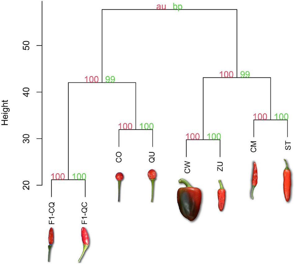 FIGURE 2