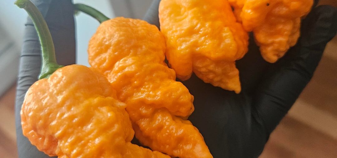 Fried Chickens