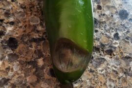 Jalapenos