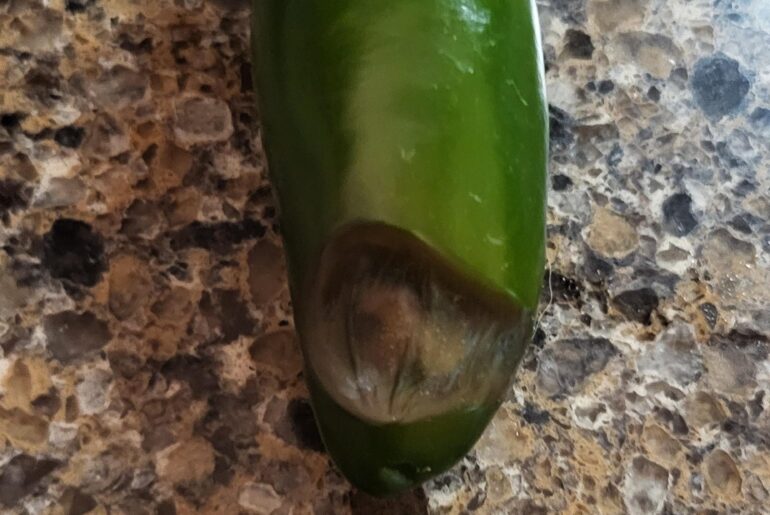 Jalapenos