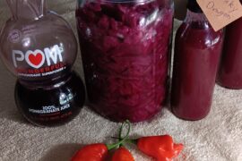 Orange scorpion, red cabbage, red onion and pomegranate fermented sauce