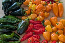 Mid Summer Harvest