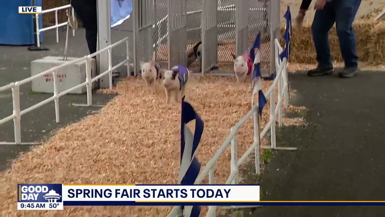 Washington State Spring Fair starts Friday