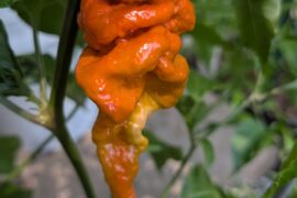 Up To No Good