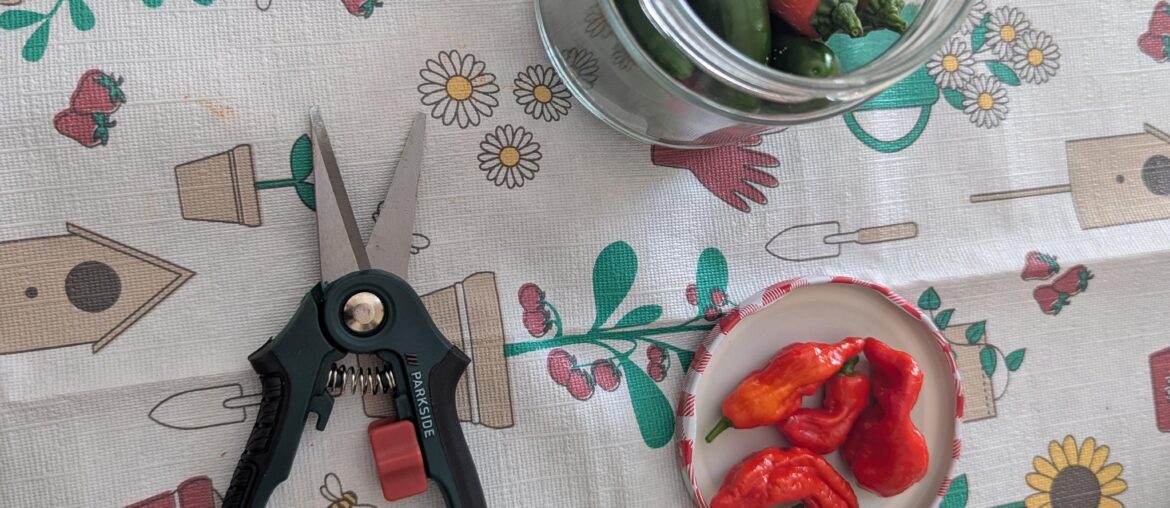 I can only recommend getting one of these narrow and affordable shears. Those are incredible for getting in between branches without cutting them off on accident.