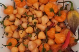 First harvest (finally)