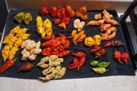 My peppers