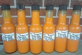 Yesterday's Hot Sauce Batch- Orri Tangerine Habanero!