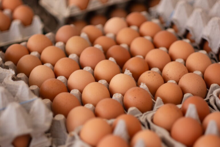 Vermont will get nearly a million eggs in national settlement