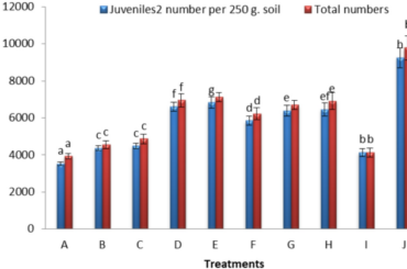 Positive regulation of root-knot nematode control in Capsicum through bioactive compounds derived from plant seeds cake