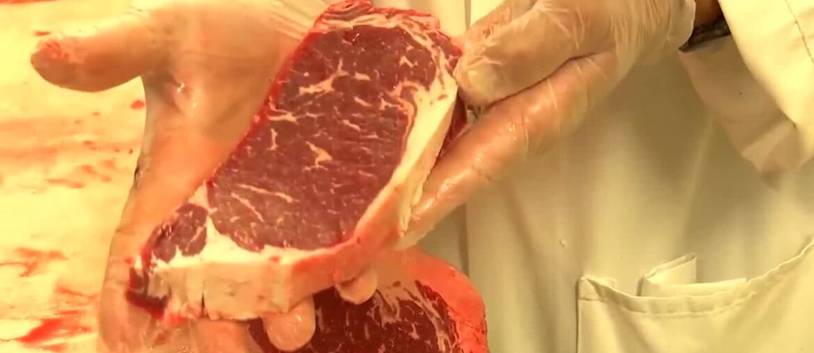 Lab-Grown Meat Still Far From Mass Market as SD Ban Takes Effect