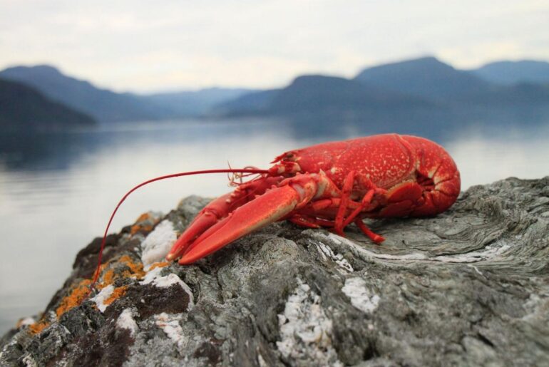 3 Iconic Maine Seafood Places You Have to Visit During the Spring