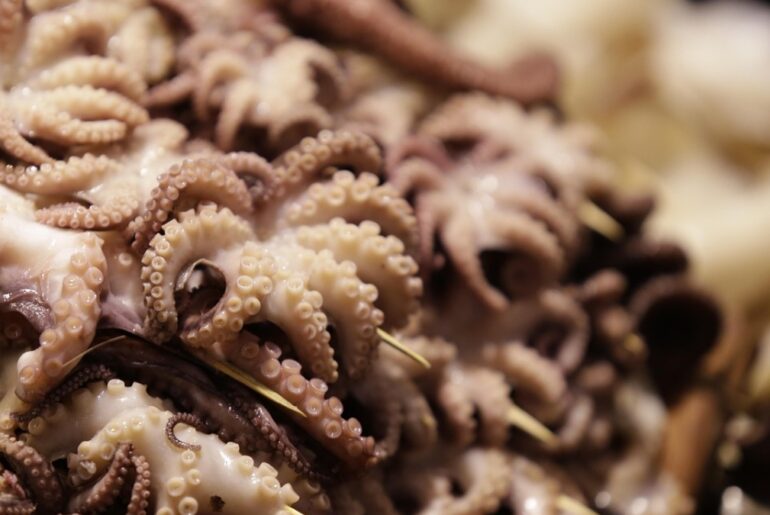 The Squidpocalypse of '26: Truckload of Calamari Creates a Smelly Disaster in Rhode Island 