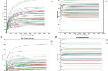 Analysis of the community composition and diversity of endophytes in extremely spicy industrial chili peppers from Tibet using high-throughput sequencing