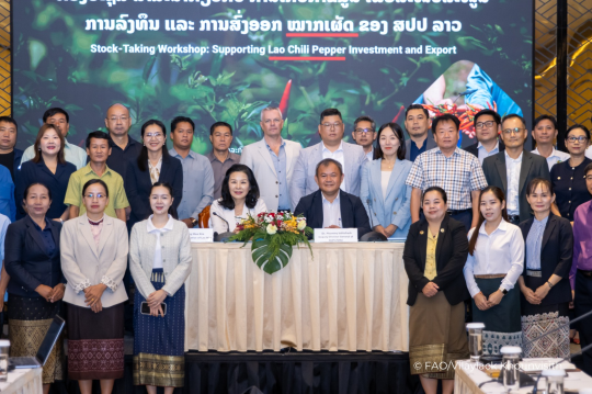Lao PDR, FAO unite to boost chili pepper investment and export potential