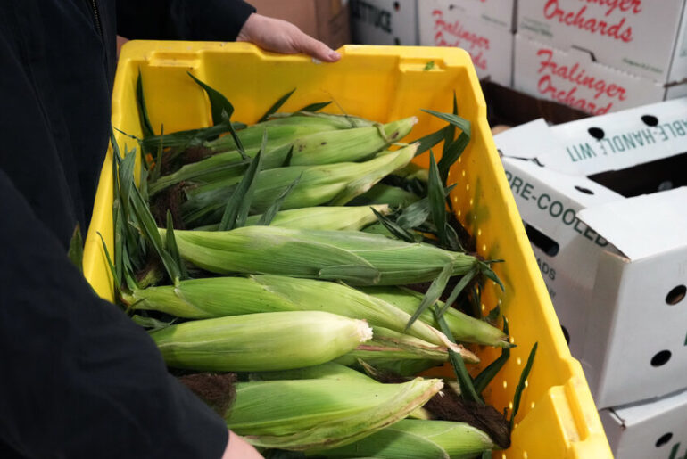 This Online Market Wants to Help Farms Survive and Thrive