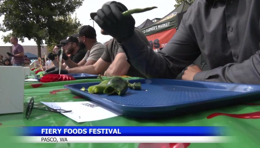 Pasco Fiery Foods Festival brings the heat and live performances | News