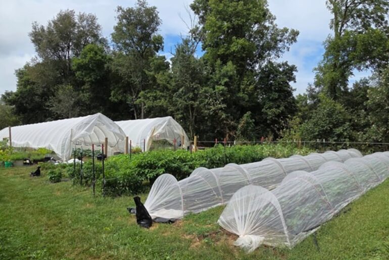 Farmers of the Driftless: A visit to Polsgrove Hill Farm in Mount Carroll, Illinois