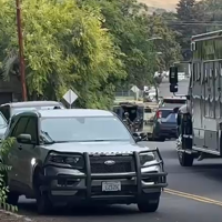 Yakima SWAT respond to domestic violence, shots fired report near Lincoln Ave and 24th Ave | News