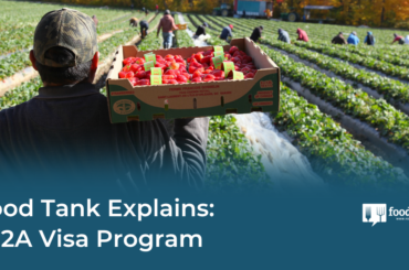Food Tank Explains: H-2A Visa Program – Food Tank
