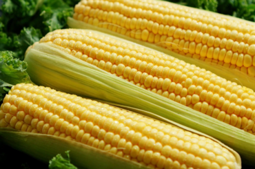 Iowa schools receive funding to buy locally grown foods | Local News