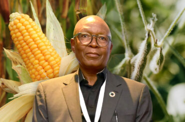 How Africa’s poultry feed crisis could hatch youth enterprises