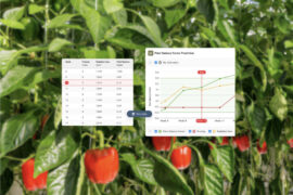 Plant balance metrics now available for pepper growers