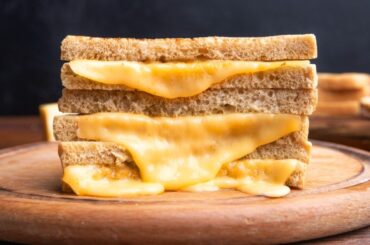 Schreiber Foods to Build $267M Process Cheese Facility in Missouri