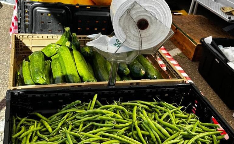 From 1996 To 2027: Estes Park Farmers Market Invites Community To Help Shape Its Next Chapter | Estes Valley Spotlight