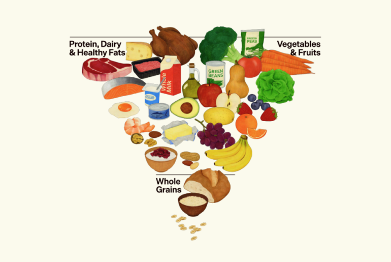 Graphic of the updated 2025 USDA food pyramid