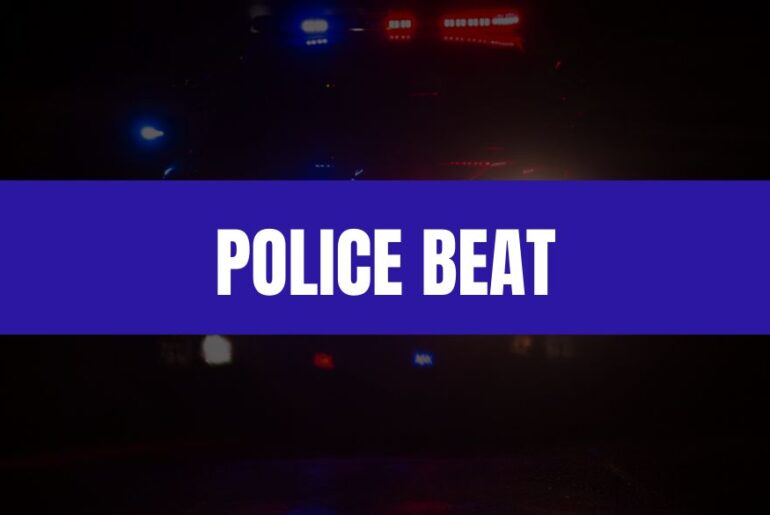 Hit-and-run, Burglary, Sexual battery, Robbery, Motor vehicle theft, Drug distribution
