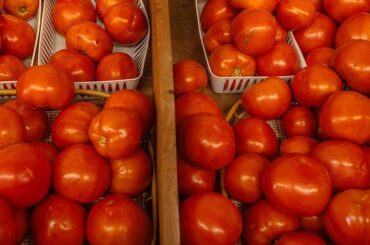 Tennessee schools still miss farm-to-school grant eliminated in 2025 as USDA rolls out new programs