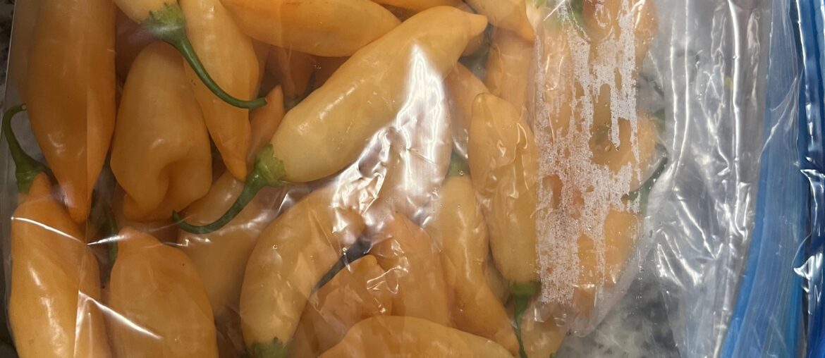 Sugar Rush Peach Bounty!