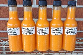 Today's Hot Sauce Creation- Pineapple 7 Pot Brain Strain!