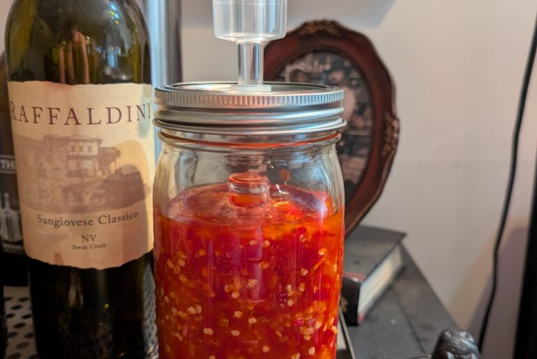 Making my first ever fermented sauce from my home grown peppers!