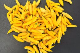 Drying Aji Limon