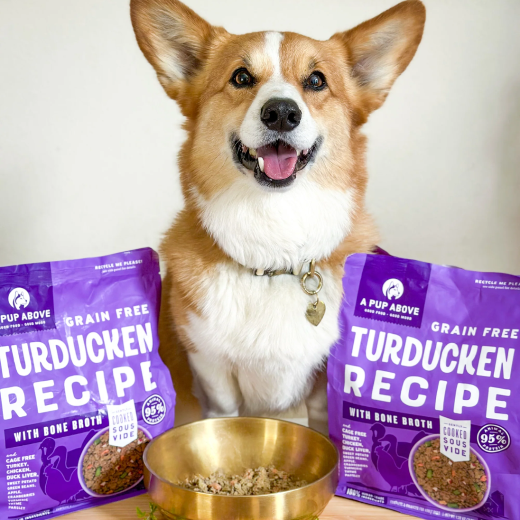 7 Best Fresh Dog Food Brands of 2026, According to Vets