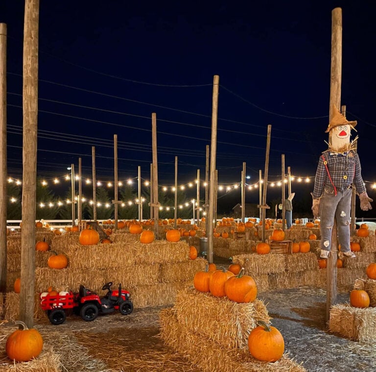 Oregon Pumpkin Patches 2026: Mazes, Cider Donuts, and Statewide Farm ...