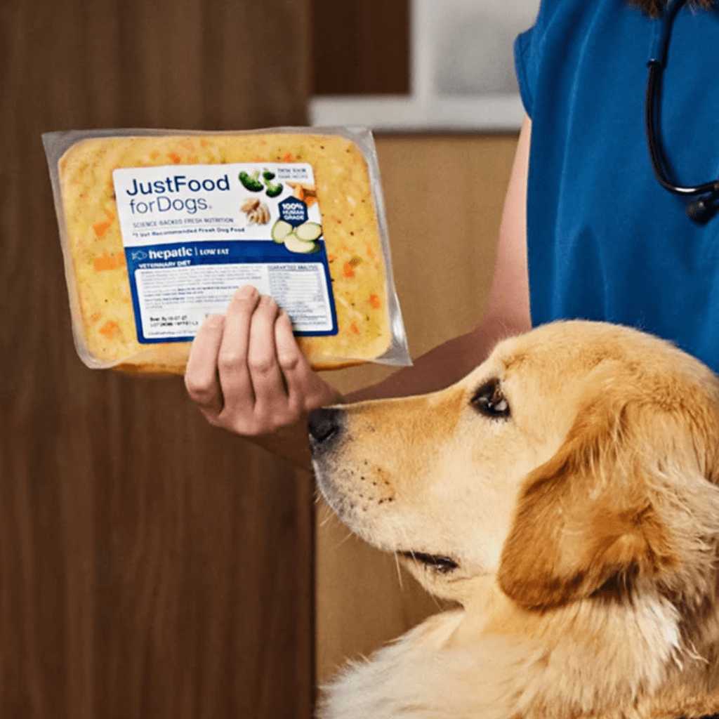 7 Best Fresh Dog Food Brands of 2026, According to Vets