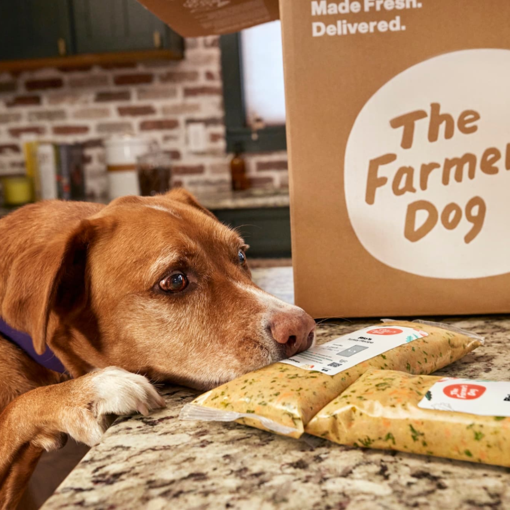 7 Best Fresh Dog Food Brands of 2026, According to Vets