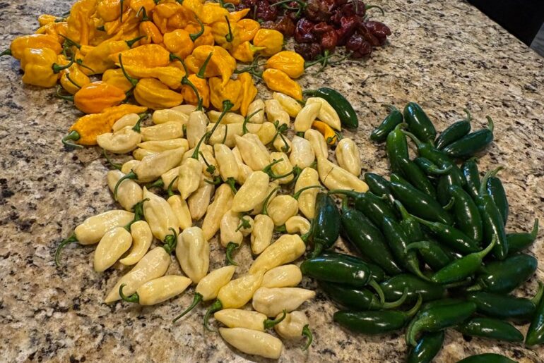 Help with pepper ID