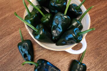 New love for Poblanos