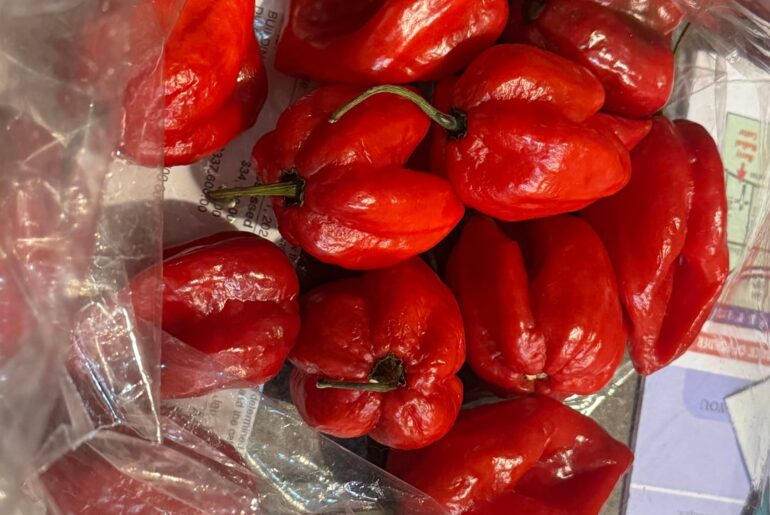My mother in law bought these at a farmers market and surprised me. The seller told her habaneros. I don’t think they are?
