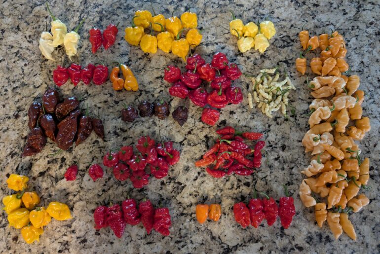 Annual pepper post