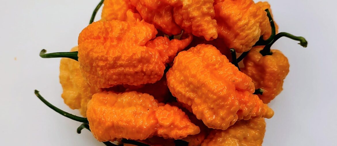 Fried chicken tenders.