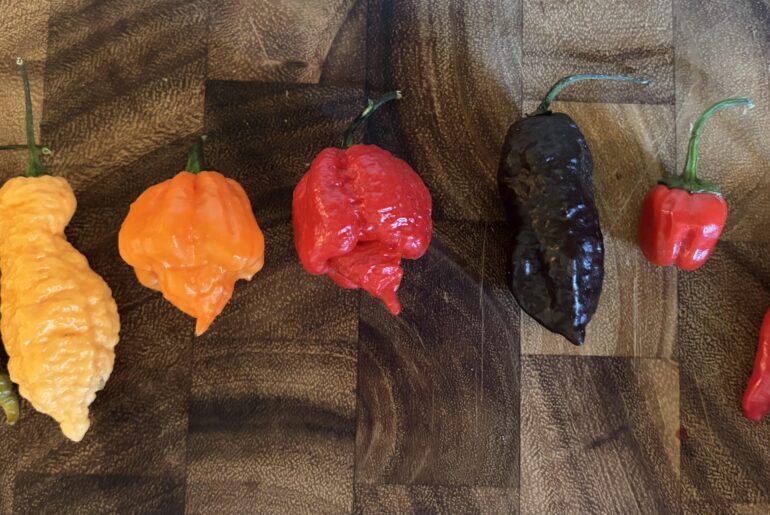 Pepper ID Help?