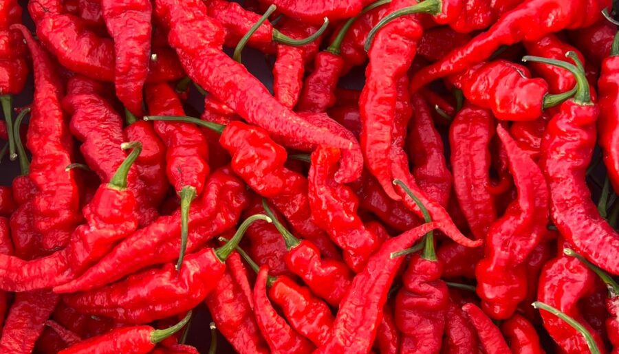 Mantis Claw peppers