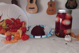 Pickled beet Tiger Ghost and eggs.